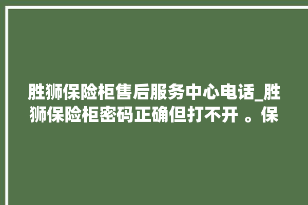 胜狮保险柜售后服务中心电话_胜狮保险柜密码正确但打不开 。保险柜