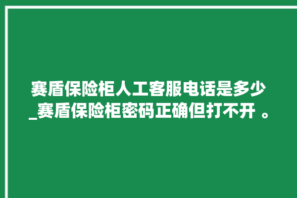 赛盾保险柜人工客服电话是多少_赛盾保险柜密码正确但打不开 。保险柜