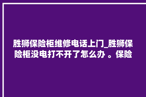 胜狮保险柜维修电话上门_胜狮保险柜没电打不开了怎么办 。保险柜