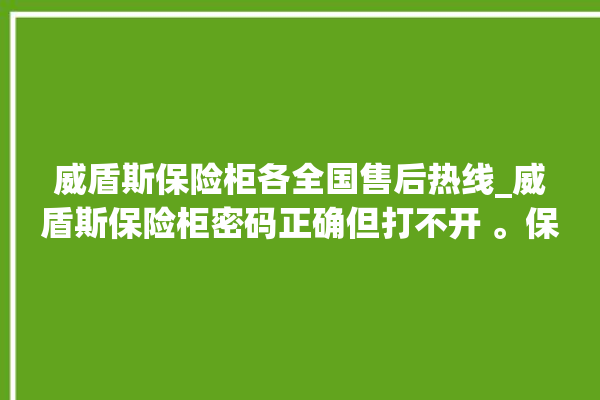 威盾斯保险柜各全国售后热线_威盾斯保险柜密码正确但打不开 。保险柜