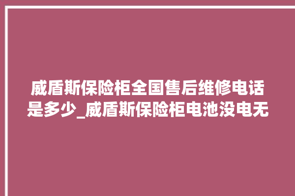 威盾斯保险柜全国售后维修电话是多少_威盾斯保险柜电池没电无法开门怎么办 。保险柜