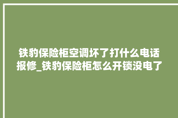 铁豹保险柜空调坏了打什么电话报修_铁豹保险柜怎么开锁没电了 。保险柜