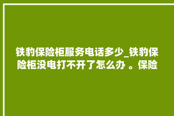 铁豹保险柜服务电话多少_铁豹保险柜没电打不开了怎么办 。保险柜