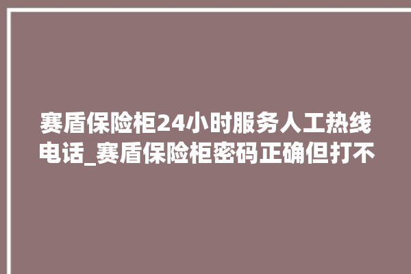 赛盾保险柜24小时服务人工热线电话_赛盾保险柜密码正确但打不开 。保险柜