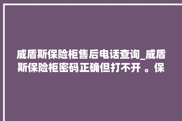 威盾斯保险柜售后电话查询_威盾斯保险柜密码正确但打不开 。保险柜