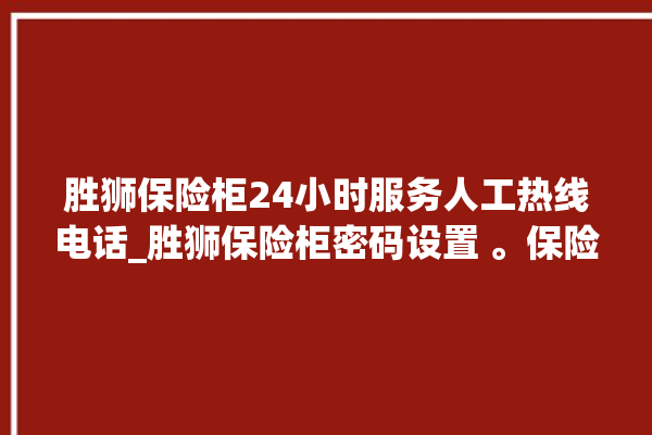 胜狮保险柜24小时服务人工热线电话_胜狮保险柜密码设置 。保险柜