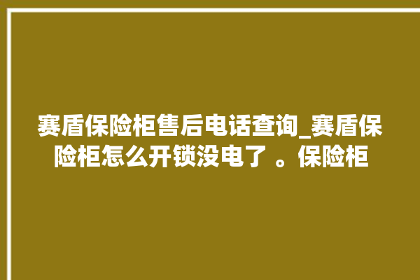 赛盾保险柜售后电话查询_赛盾保险柜怎么开锁没电了 。保险柜