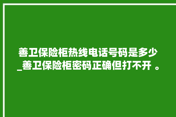 善卫保险柜热线电话号码是多少_善卫保险柜密码正确但打不开 。保险柜