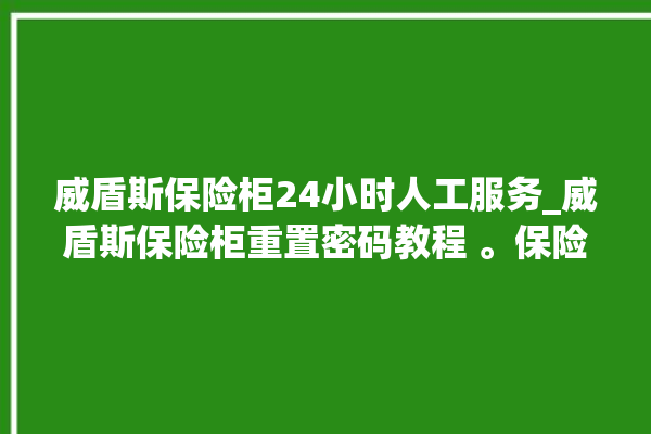 威盾斯保险柜24小时人工服务_威盾斯保险柜重置密码教程 。保险柜