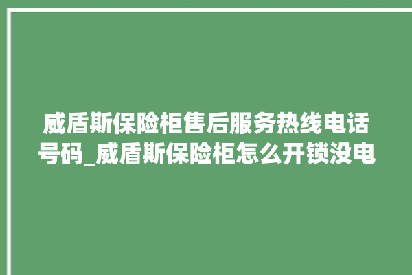 威盾斯保险柜售后服务热线电话号码_威盾斯保险柜怎么开锁没电了 。保险柜