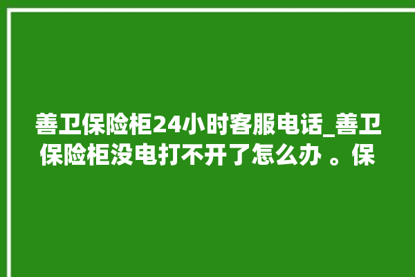 善卫保险柜24小时客服电话_善卫保险柜没电打不开了怎么办 。保险柜