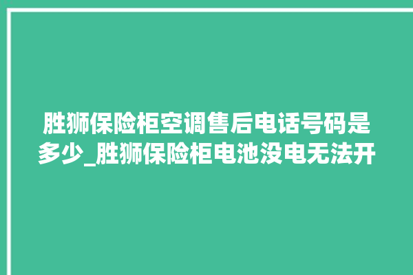 胜狮保险柜空调售后电话号码是多少_胜狮保险柜电池没电无法开门怎么办 。保险柜