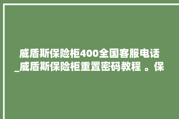 威盾斯保险柜400全国客服电话_威盾斯保险柜重置密码教程 。保险柜