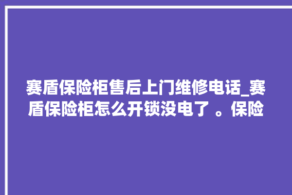 赛盾保险柜售后上门维修电话_赛盾保险柜怎么开锁没电了 。保险柜