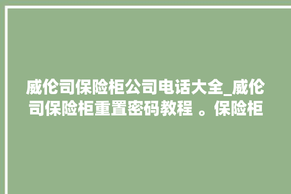 威伦司保险柜公司电话大全_威伦司保险柜重置密码教程 。保险柜