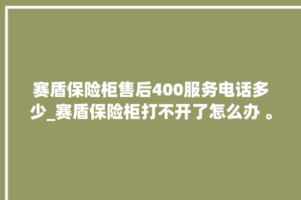 赛盾保险柜售后400服务电话多少_赛盾保险柜打不开了怎么办 。保险柜