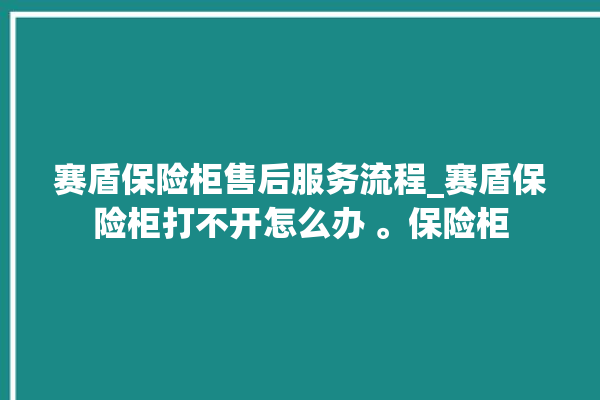 赛盾保险柜售后服务流程_赛盾保险柜打不开怎么办 。保险柜