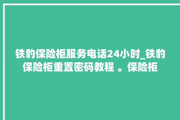 铁豹保险柜服务电话24小时_铁豹保险柜重置密码教程 。保险柜