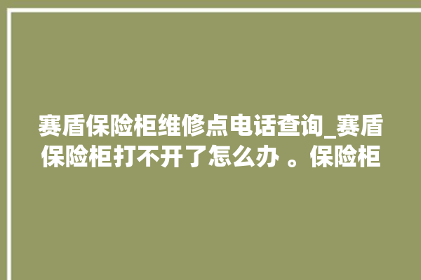 赛盾保险柜维修点电话查询_赛盾保险柜打不开了怎么办 。保险柜