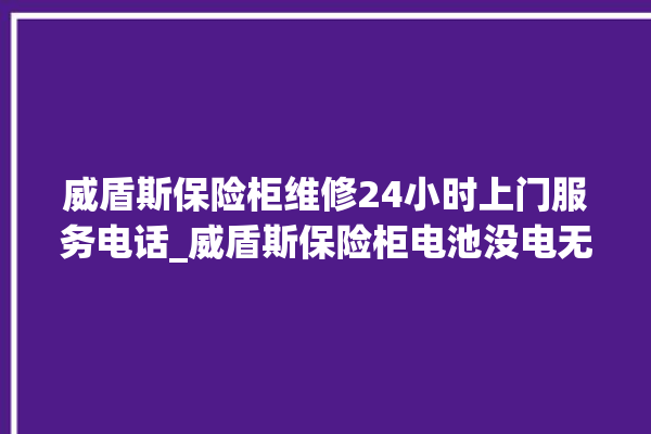 威盾斯保险柜维修24小时上门服务电话_威盾斯保险柜电池没电无法开门怎么办 。保险柜