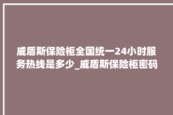 威盾斯保险柜全国统一24小时服务热线是多少_威盾斯保险柜密码设置 。保险柜