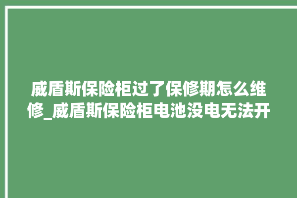 威盾斯保险柜过了保修期怎么维修_威盾斯保险柜电池没电无法开门怎么办 。保险柜