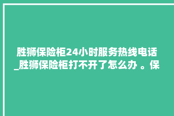 胜狮保险柜24小时服务热线电话_胜狮保险柜打不开了怎么办 。保险柜