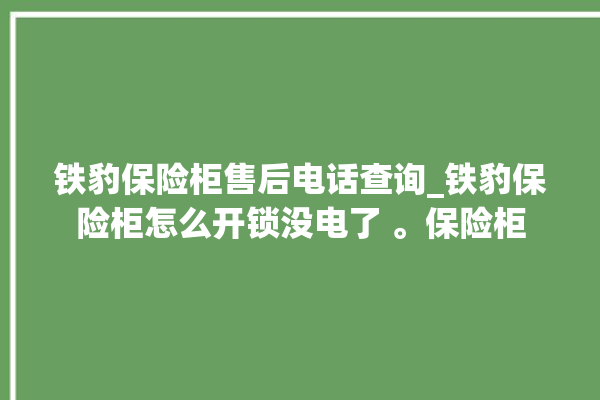 铁豹保险柜售后电话查询_铁豹保险柜怎么开锁没电了 。保险柜