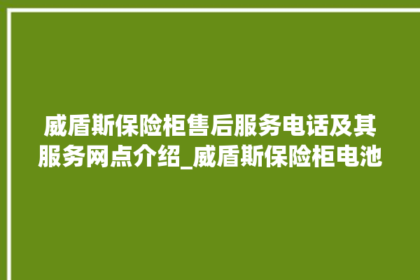 威盾斯保险柜售后服务电话及其服务网点介绍_威盾斯保险柜电池没电无法开门怎么办 。保险柜