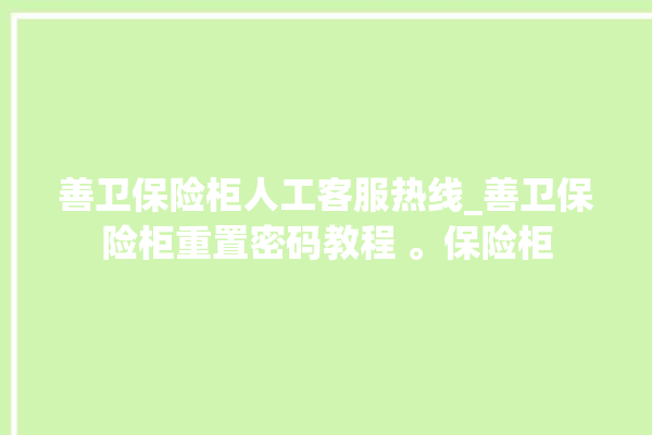 善卫保险柜人工客服热线_善卫保险柜重置密码教程 。保险柜