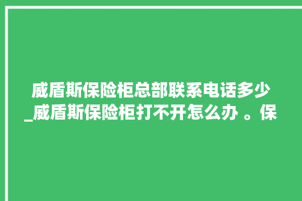 威盾斯保险柜总部联系电话多少_威盾斯保险柜打不开怎么办 。保险柜