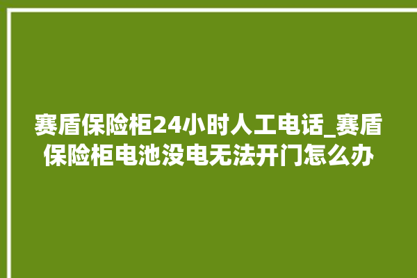 赛盾保险柜24小时人工电话_赛盾保险柜电池没电无法开门怎么办 。保险柜