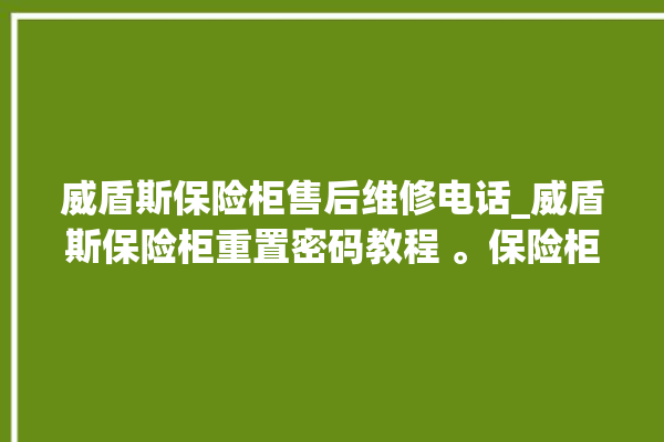 威盾斯保险柜售后维修电话_威盾斯保险柜重置密码教程 。保险柜