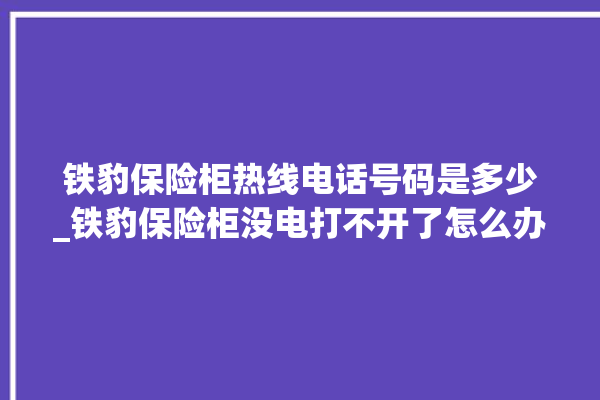 铁豹保险柜热线电话号码是多少_铁豹保险柜没电打不开了怎么办 。保险柜