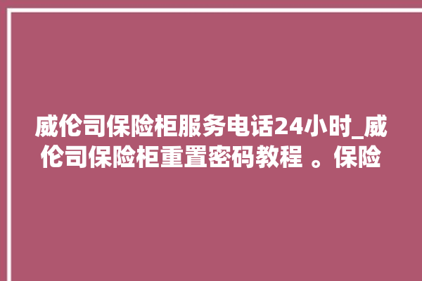 威伦司保险柜服务电话24小时_威伦司保险柜重置密码教程 。保险柜