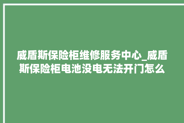 威盾斯保险柜维修服务中心_威盾斯保险柜电池没电无法开门怎么办 。保险柜