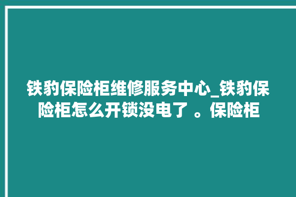 铁豹保险柜维修服务中心_铁豹保险柜怎么开锁没电了 。保险柜