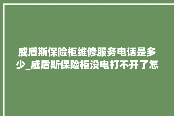 威盾斯保险柜维修服务电话是多少_威盾斯保险柜没电打不开了怎么办 。保险柜