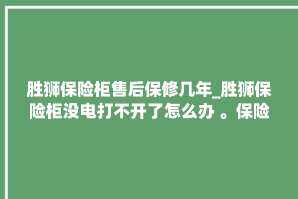 胜狮保险柜售后保修几年_胜狮保险柜没电打不开了怎么办 。保险柜