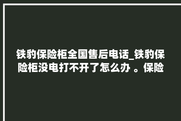 铁豹保险柜全国售后电话_铁豹保险柜没电打不开了怎么办 。保险柜