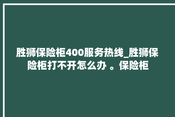 胜狮保险柜400服务热线_胜狮保险柜打不开怎么办 。保险柜