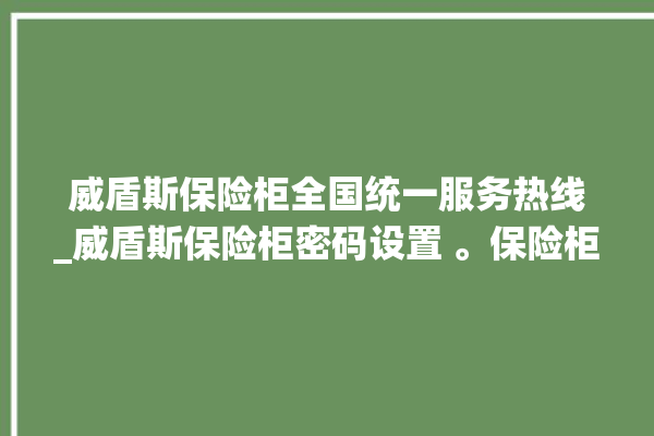 威盾斯保险柜全国统一服务热线_威盾斯保险柜密码设置 。保险柜