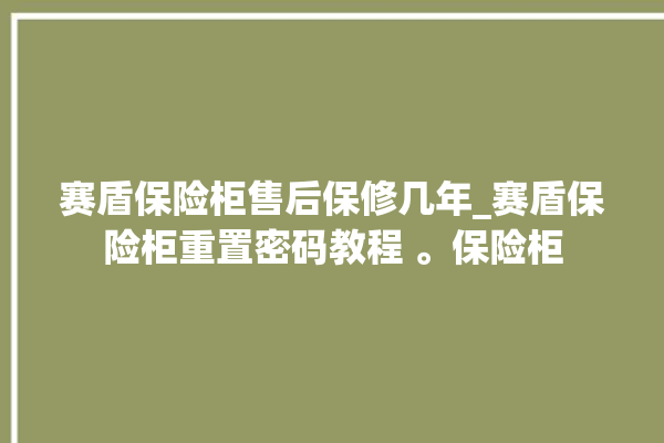 赛盾保险柜售后保修几年_赛盾保险柜重置密码教程 。保险柜