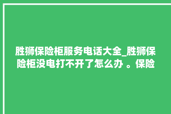 胜狮保险柜服务电话大全_胜狮保险柜没电打不开了怎么办 。保险柜