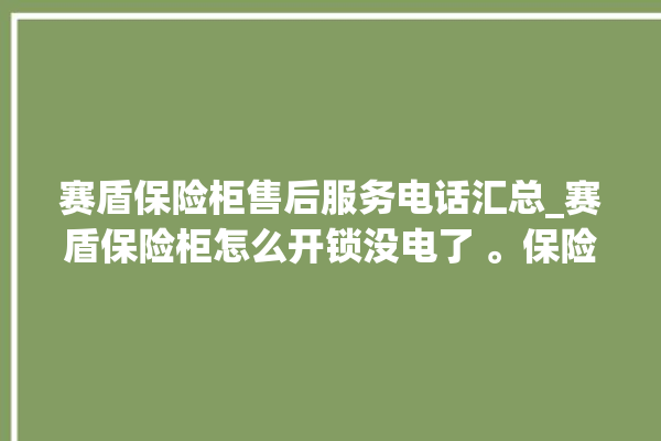 赛盾保险柜售后服务电话汇总_赛盾保险柜怎么开锁没电了 。保险柜