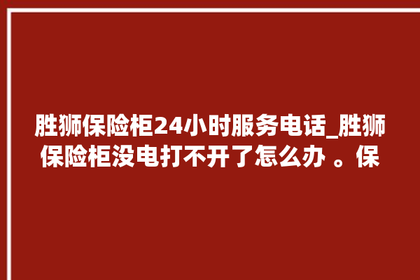 胜狮保险柜24小时服务电话_胜狮保险柜没电打不开了怎么办 。保险柜