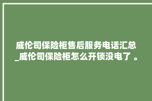 威伦司保险柜售后服务电话汇总_威伦司保险柜怎么开锁没电了 。保险柜