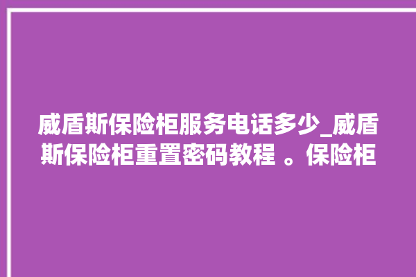 威盾斯保险柜服务电话多少_威盾斯保险柜重置密码教程 。保险柜