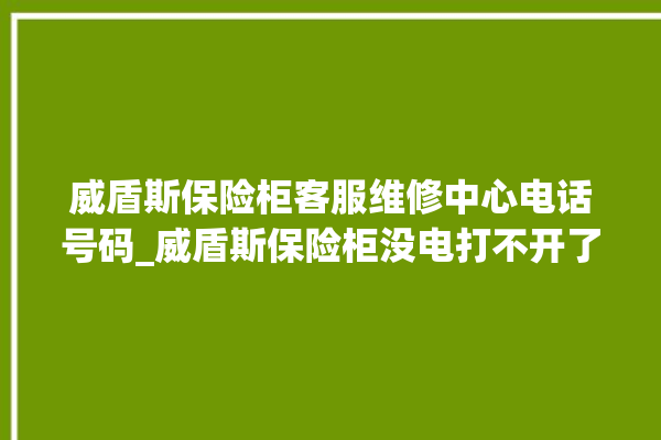 威盾斯保险柜客服维修中心电话号码_威盾斯保险柜没电打不开了怎么办 。保险柜