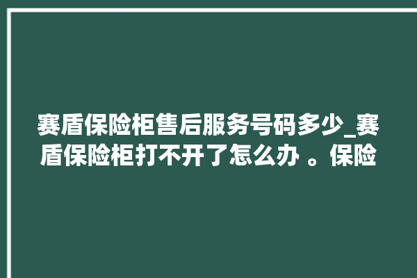 赛盾保险柜售后服务号码多少_赛盾保险柜打不开了怎么办 。保险柜